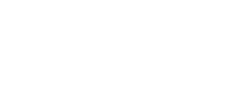 Feathers Logo - Dedicated to hair 2017 (White) copy
